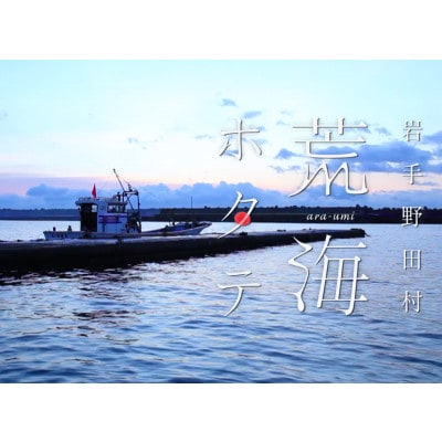【数量限定～12/31まで受付!】岩手 野田村 荒海ホタテ 1kg(8～10枚入り)殻付き ヘラ付き