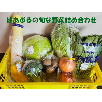 ぱあぷるの旬な野菜詰め合わせ