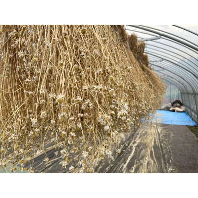 華蜜恋(KAMITSUREN)カモミールエキス100%薬用入浴剤 300ml(医薬部外品)