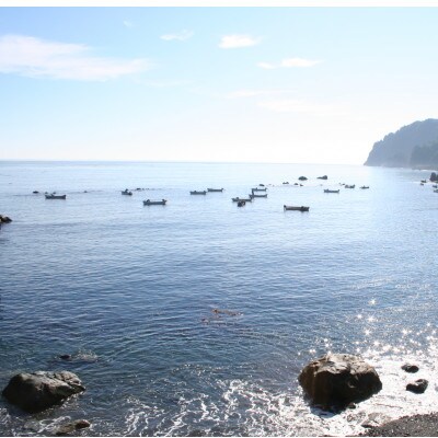 三陸産　冷凍天然アワビ3個(約200g)1パック