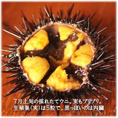 【令和5年7月より順次発送予定】　生うに・いくらセット　100セットご提供!!