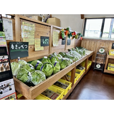産直ぱあぷるの旬な野菜詰め合わせ