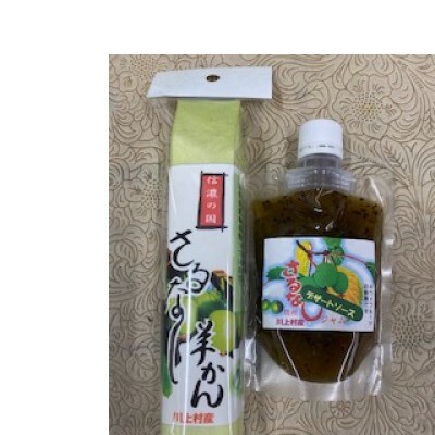 さるなしセット　【さるなし羊かん(240g)1本】【さるなしデザートソース(165g)】
