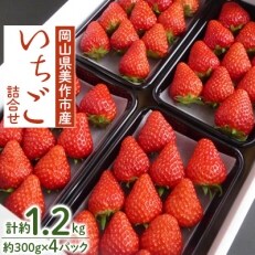 岡山県美作市産 いちご詰合せ(約300g&times;4パック)