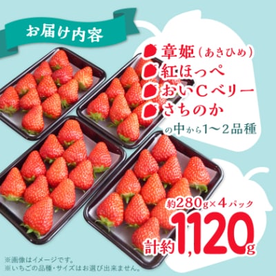 岡山県美作市産　いちご詰合せ(約280g×4パック)
