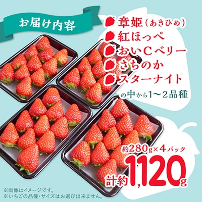 【2026年4月より順次発送】岡山県美作市産　いちご詰合せ(約280g×4パック)