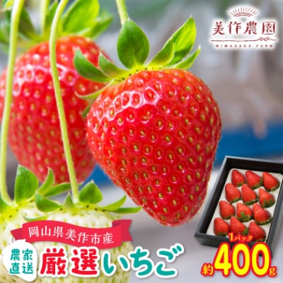 岡山県美作市産　厳選1品種いちご(約400g)