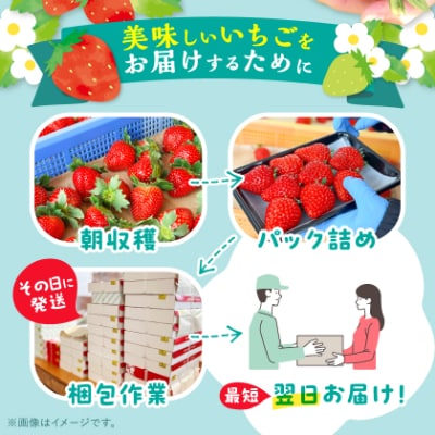 岡山県美作市産　厳選1品種いちご(約400g)
