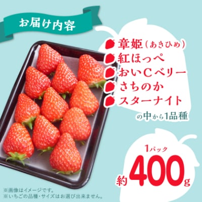 岡山県美作市産　厳選1品種いちご(約400g)