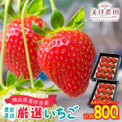 岡山県美作市産　厳選2品種いちご詰合せ(約400g×2パック)