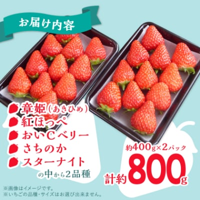 岡山県美作市産　厳選2品種いちご詰合せ(約400g×2パック)