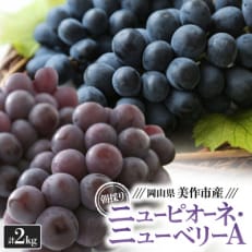 朝採りニューピオーネ&ニューベリーA　計2kg