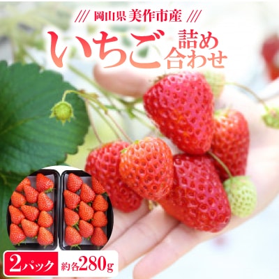 【2025年4月発送開始】岡山県美作市産　いちご詰合せ(約280g×2パック)