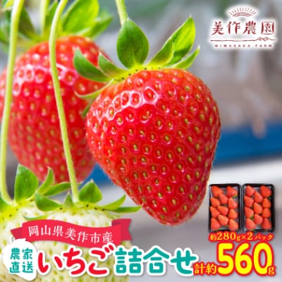 【2026年4月より順次発送】岡山県美作市産　いちご詰合せ(約280g×2パック)
