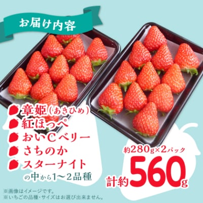 【2026年4月より順次発送】岡山県美作市産　いちご詰合せ(約280g×2パック)