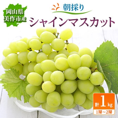 【2025年先行受付】朝採りシャインマスカット　1kg(1房～2房)