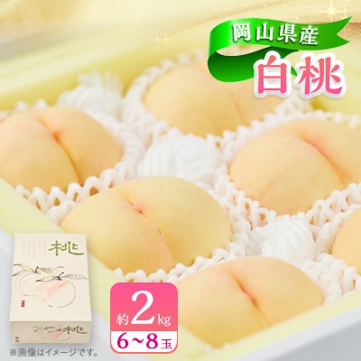 岡山県産白桃　約2kg(6～8玉)