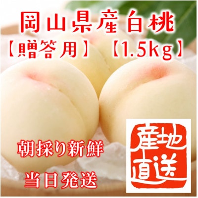 岡山県産白桃　約1.5kg(4～6玉)