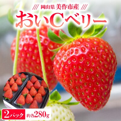 【2025年4月発送開始】岡山県美作市産　おいCベリー(約280g×2パック)