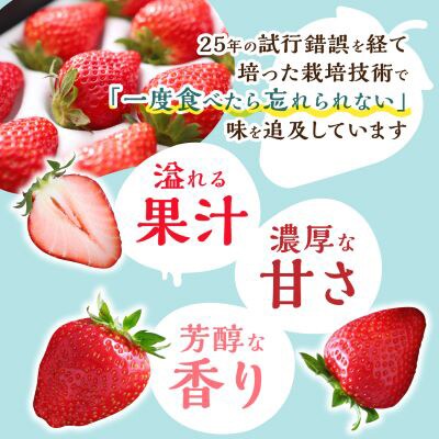 【2025年4月発送開始】岡山県美作市産　おいCベリー(約280g×2パック)