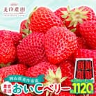 岡山県美作市産　おいCベリー(約280g×4パック)