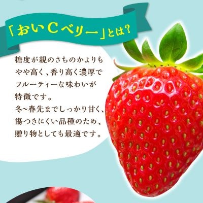 【2025年4月発送開始】岡山県美作市産　おいCベリー(約280g×4パック)