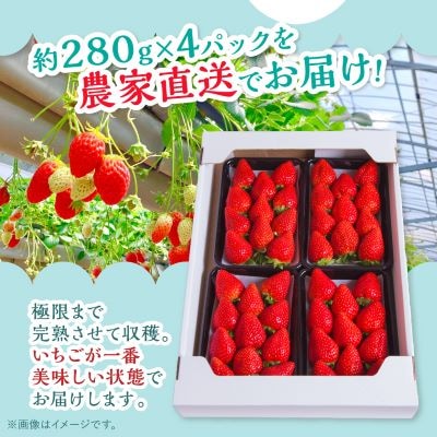 【2025年4月発送開始】岡山県美作市産　おいCベリー(約280g×4パック)
