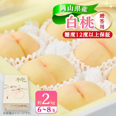 【2025年先行受付】【糖度12度以上保証】岡山県産白桃　約2kg(6～8玉)(贈答用)