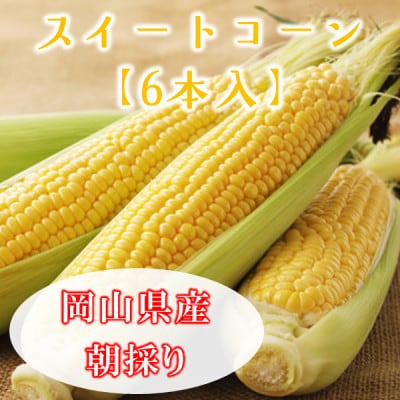 岡山県美作市産　スイートコーン6本