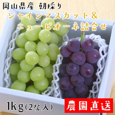 朝採りシャインマスカット&ニューピオーネ　計1kg