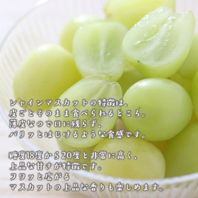 朝採りシャインマスカット&ニューピオーネ　計2kg