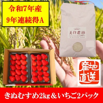 【令和7年産】新米・精米　きぬむすめ2kg&いちご詰合せ(約280g×2パック)