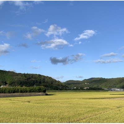 【令和7年産】新米・精米　きぬむすめ2kg&いちご詰合せ(約280g×2パック)