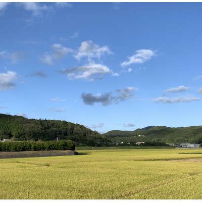 【令和7年産】新米・精米　きぬむすめ5kg&いちご詰合せ(約280g×2パック)