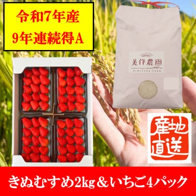 【令和7年産】新米・精米　きぬむすめ2kg&いちご詰合せ(約280g×4パック)