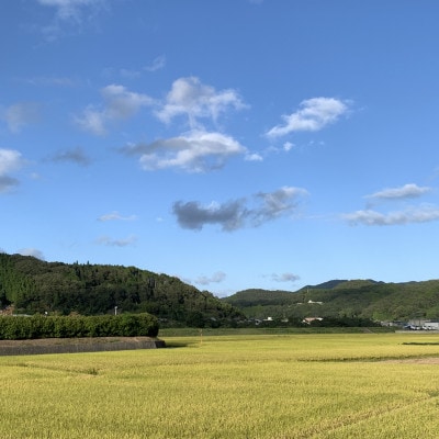 【令和7年産】新米・精米　きぬむすめ5kg&いちご詰合せ(約280g×4パック)