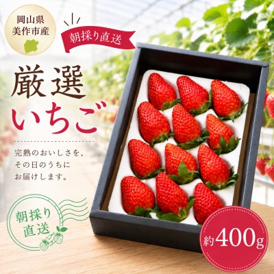 【2026年年内発送】【御歳暮】岡山県美作市産 厳選いちご(約400g)