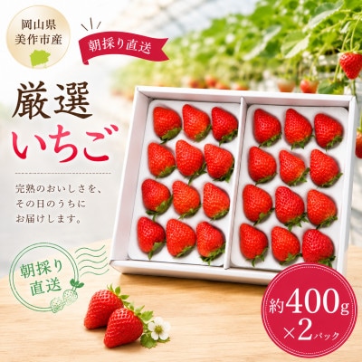 【2026年年内発送】【御歳暮】岡山県美作市産 厳選いちご(約400g×2パック)