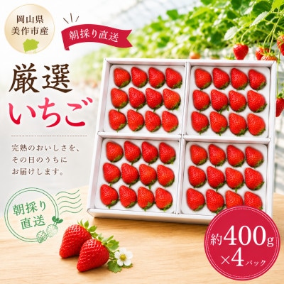 【2026年年内発送】【御歳暮】岡山県美作市産 厳選いちご(約400g×4パック)