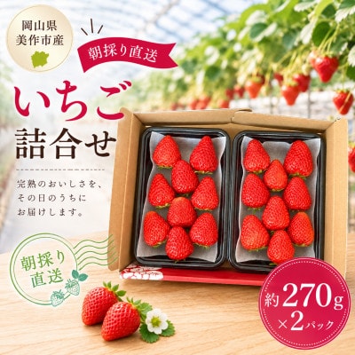 【2026年年内発送】【御歳暮】岡山県美作市産　いちご詰合せ(約270g×2パック)