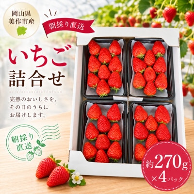 【2026年年内発送】【御歳暮】岡山県美作市産　いちご詰合せ(約270g×4パック)