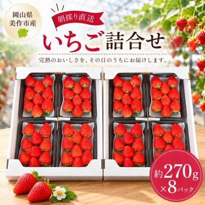 【2026年年内発送】【御歳暮】岡山県美作市産　いちご詰合せ(約270g×8パック)
