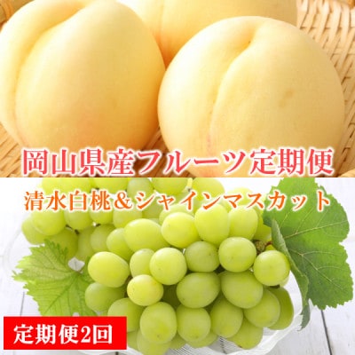 【発送月固定定期便】【岡山県産人気フルーツ】清水白桃&シャインマスカット定期便全2回