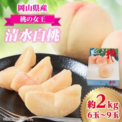 【桃の女王】　美作産ブランド桃　清水白桃　2kg箱(6玉～9玉)