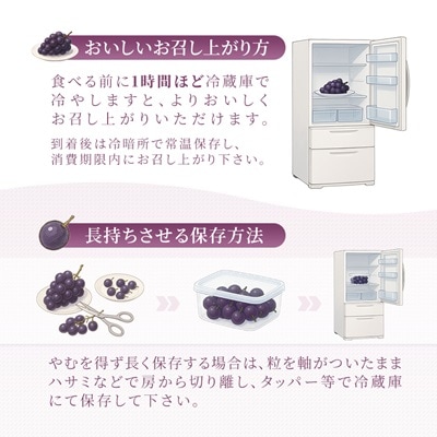 岡山県産　ピオーネ2kg箱(3～4房)