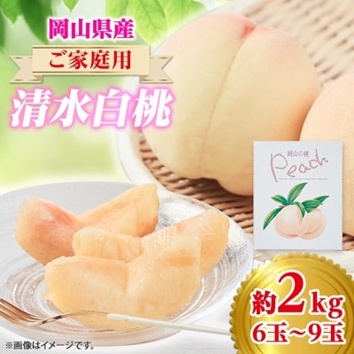 2026�N��s�\��@���ƒ�p ���R ��������2kg(6�ʁ`9��)