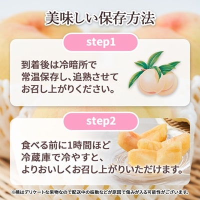 2026年先行予約　ご家庭用 岡山 清水白桃2kg(6玉～9玉)