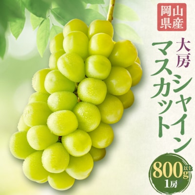 大房シャインマスカット(800g以上)1房