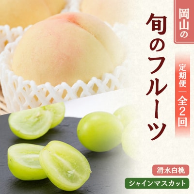 【発送月固定定期便】 2026年先行予約　岡山フルーツ旬の果物 清水白桃+シャインマスカット全2回