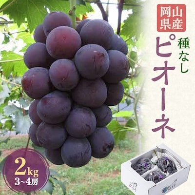 【2週間毎定期便】ぶどうのセット(ピオーネ2kg・シャインマスカット1房)全2回